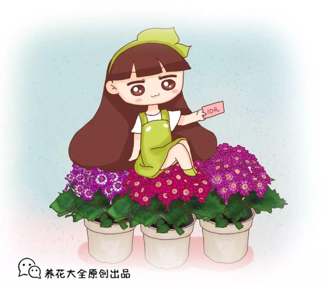 这花10块钱买3盆, 能开一冬天, 想养死都难!