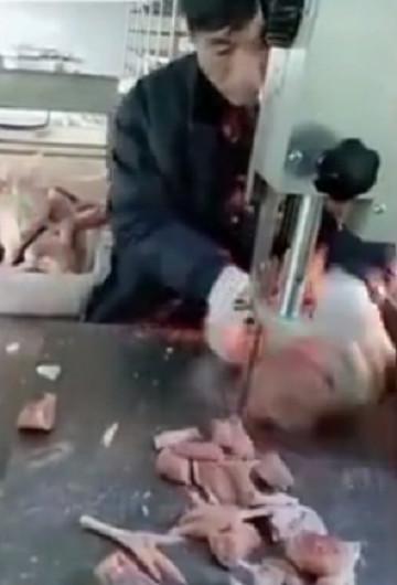 两万一个月的工作, 老板都招不到人, 个个都不敢做 老板: 保险我都买好了