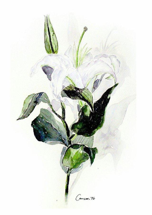 过目不忘的句子, 句句是哲理(深度好文)