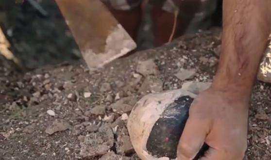 男子地窖发现石灰包裹的硬物, 砸开后, 里面的东西让他高兴坏了!