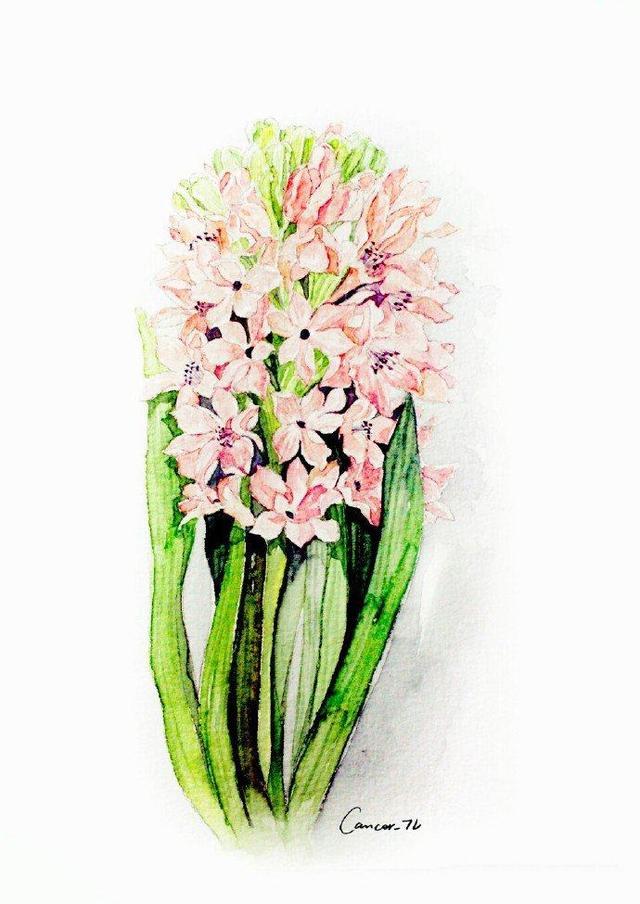 过目不忘的句子, 句句是哲理(深度好文)