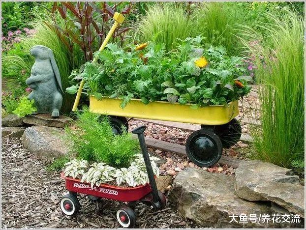 媳妇把家里的旧鞋子、茶壶和闹钟用来种花, 养花也要省钱