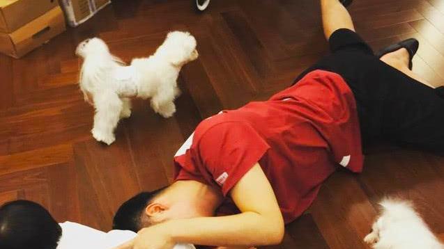 陈赫在家学狗爬, 百般讨好女儿, 网友: 羡慕张子萱