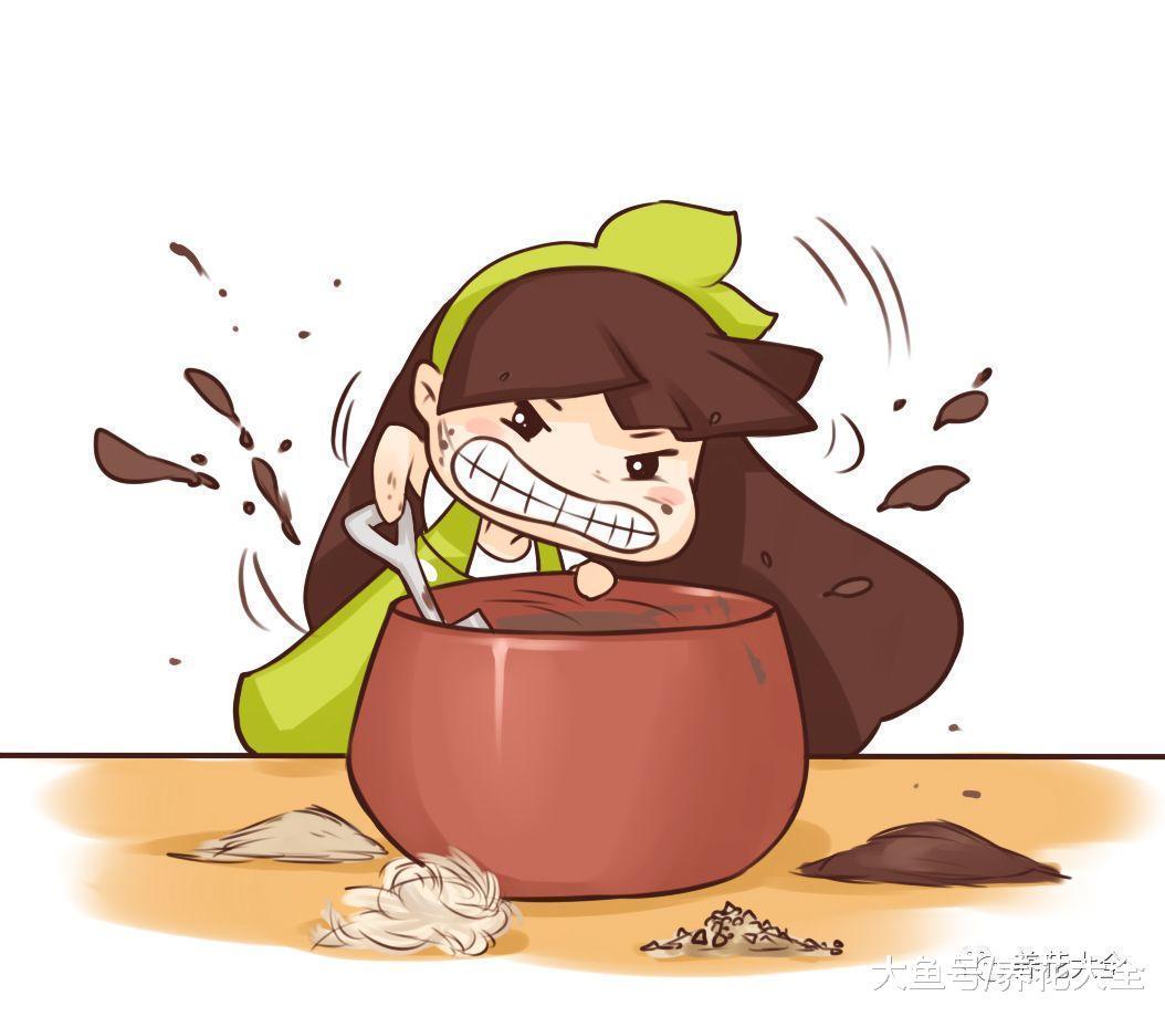 换盆后旧土别扔, 加点这个, 比营养土还肥沃!