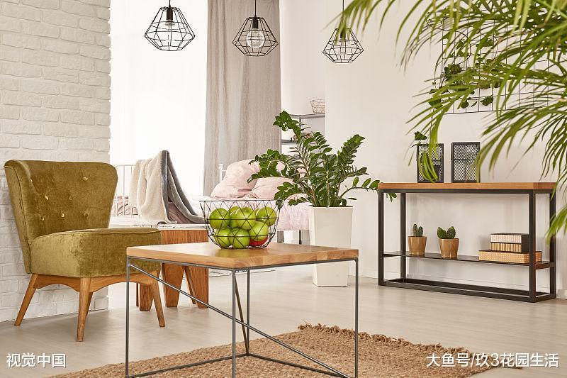 对植物生长起关键性的作用的其实是温度