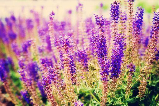 你忘记了这十句话, 才不会如此不安!