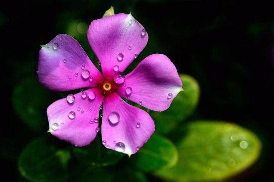 这十句话, 感染在你我!