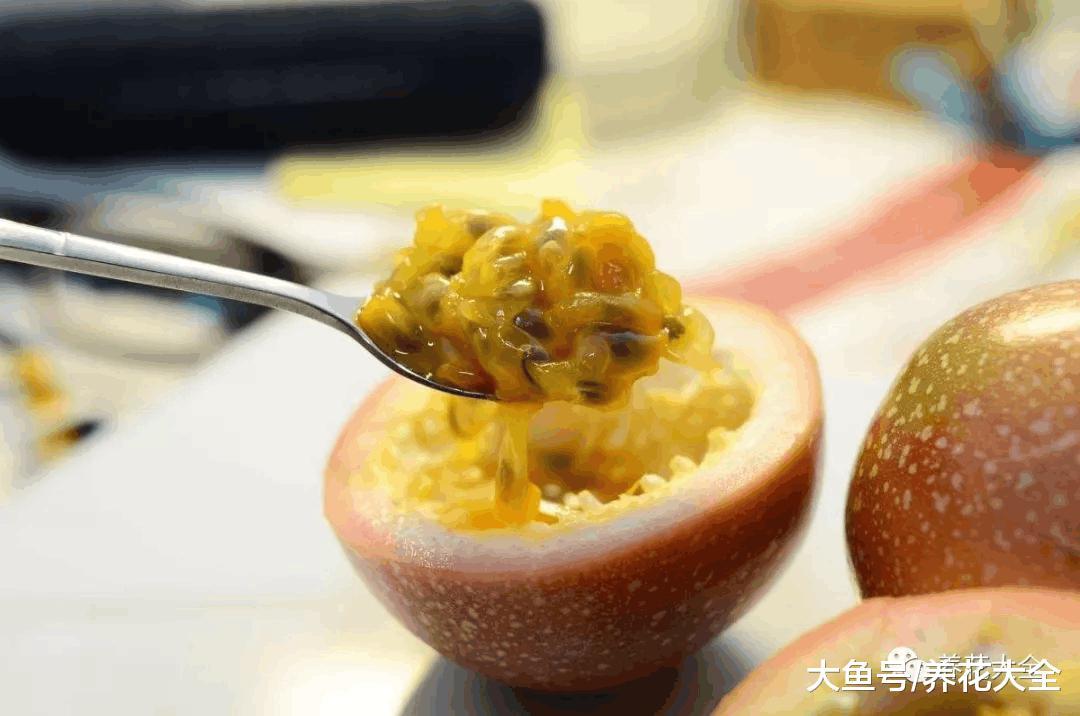 百香果自家阳台就能种, 一分钱不用花, 比买的还好吃!