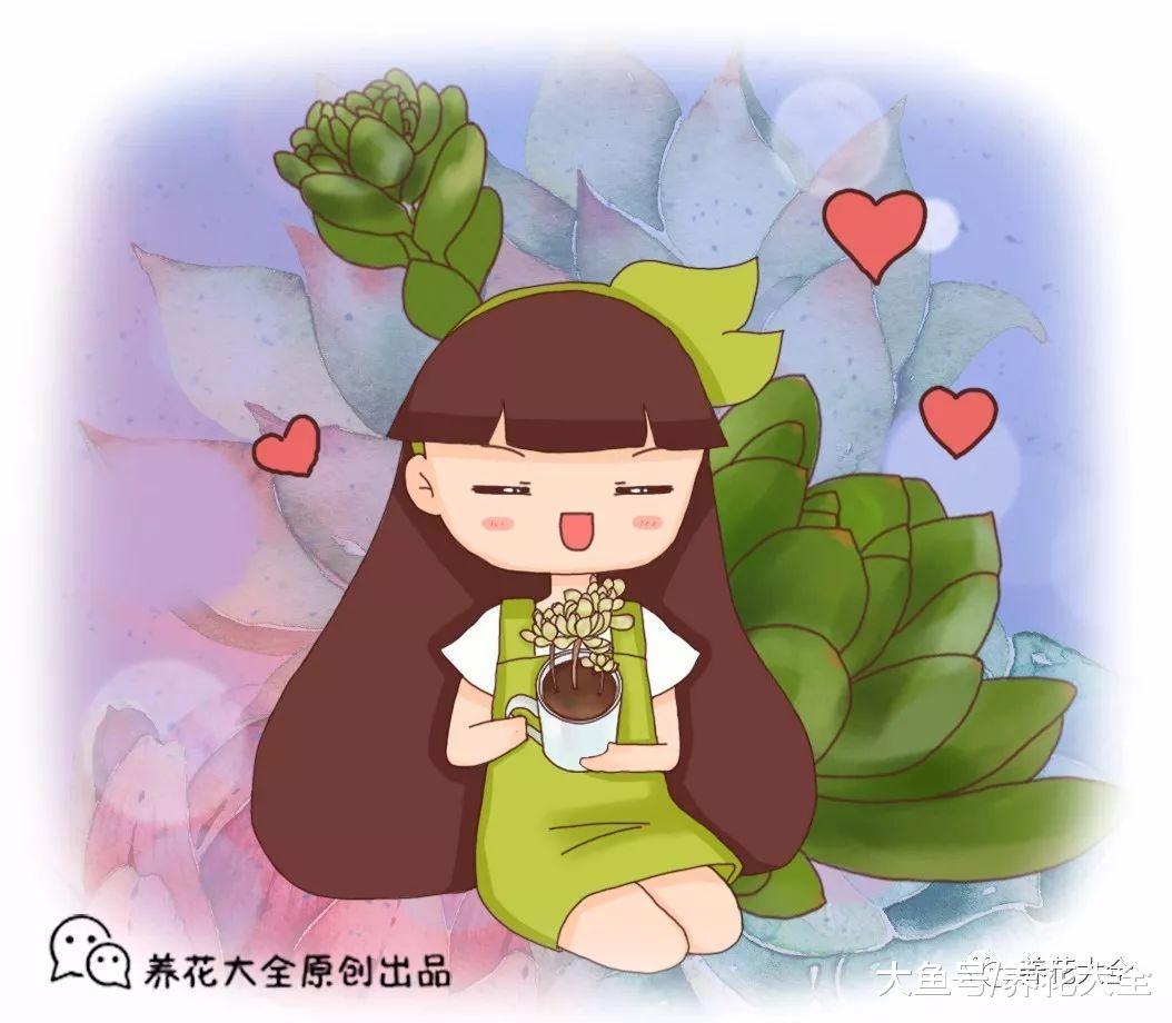 这7种多肉竟原来是香的? 养1盆, 家里天天香甜清新
