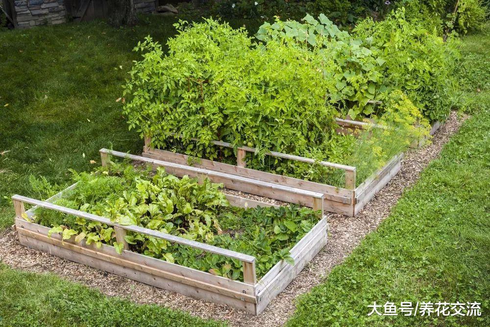 这17个植物庭院创意你更喜欢哪一个呢? 这些后院看起来太奇妙了