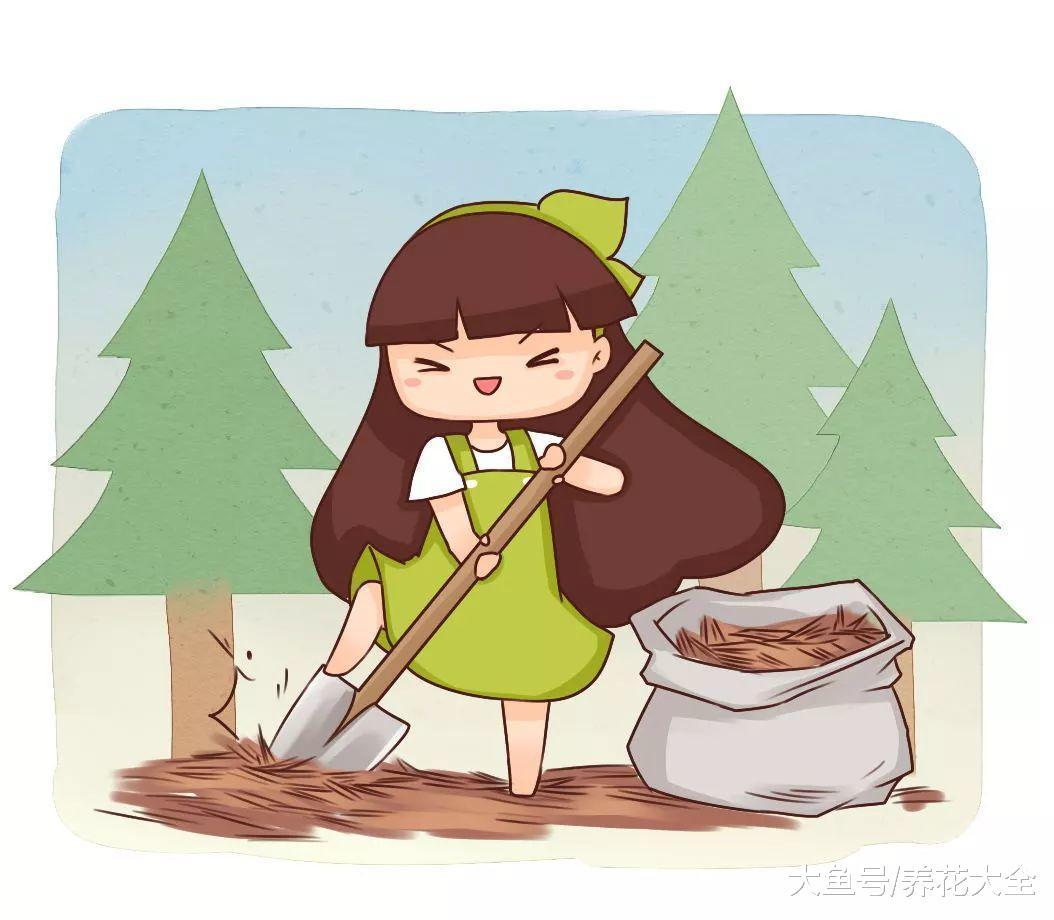 养花就用这种土, 不怕烂根黄叶, 花蹭蹭疯长!