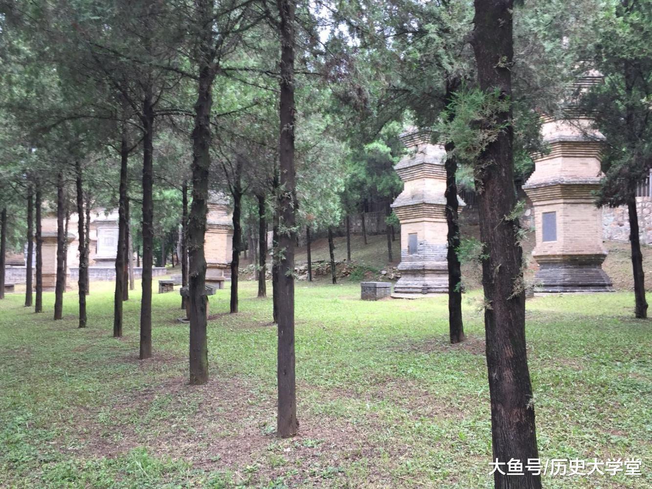 天下武功出少林，但现在“少林寺