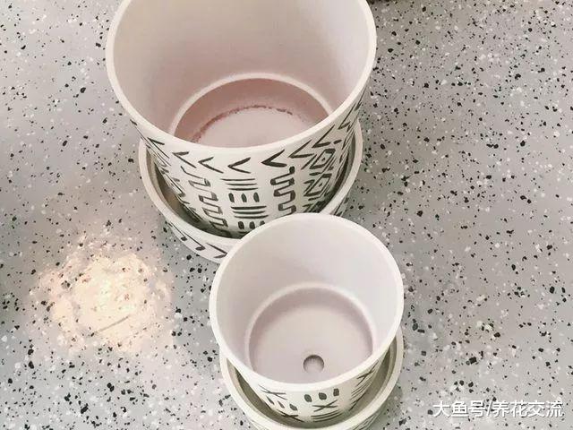 在桌面上养个简单的DIY盆栽植物, 让你的办公桌焕然一新