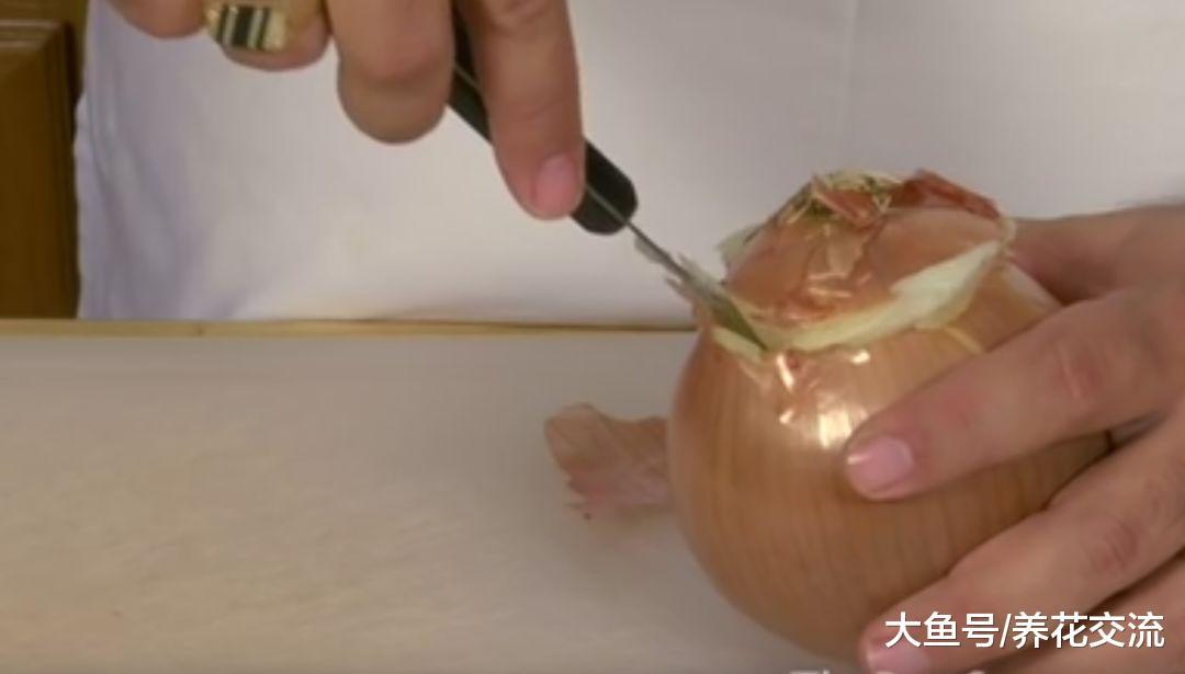 用这种方法切洋葱, 妈妈再也不担心我流眼泪了