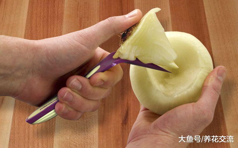 用这种方法切洋葱, 妈妈再也不担心我流眼泪了