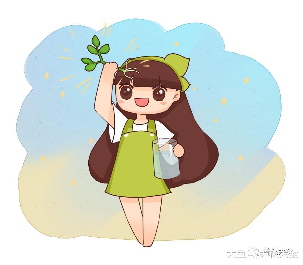 给花喝口神仙水, 3天生出大白根, 1个月挤爆盆!