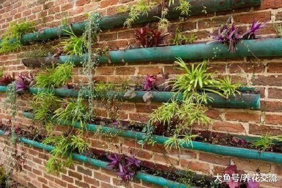 用雨水槽养成垂直的花园、菜园, 将花卉和蔬菜种在墙上