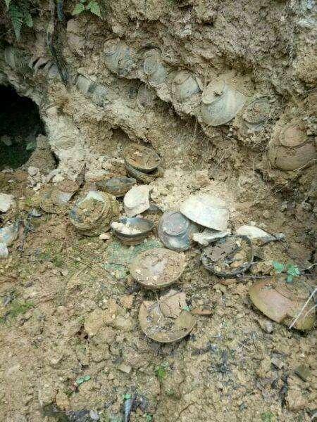 小伙野外探险, 挖出无数宝贝, 最后无偿捐献博物馆