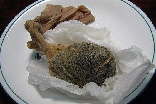 1粒水果籽儿泡水里, 长成最美小盆栽