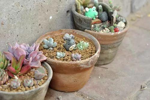 植物总是长不好吗? 都是花盆惹的祸!