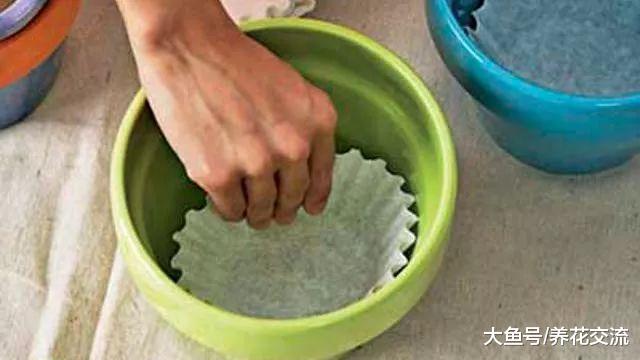 厨房里的剩菜残羹和厨余垃圾变成养花肥料, 这11个方法太实用了