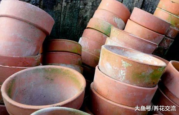 垃圾堆里捡来一堆肮脏的老陶盆, 几分钟就能将它们变成新盆