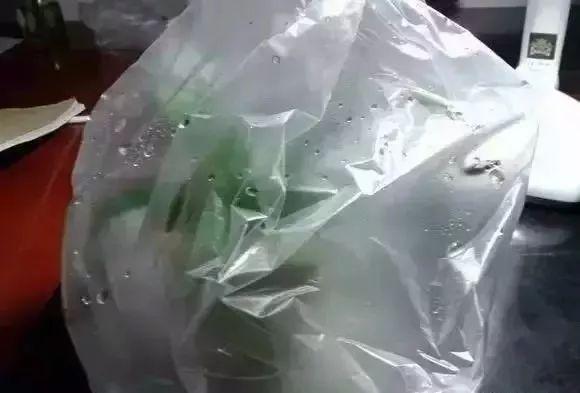 大冷天, 花冻得发蔫, 快给它穿件棉袄, 再也不怕冷!