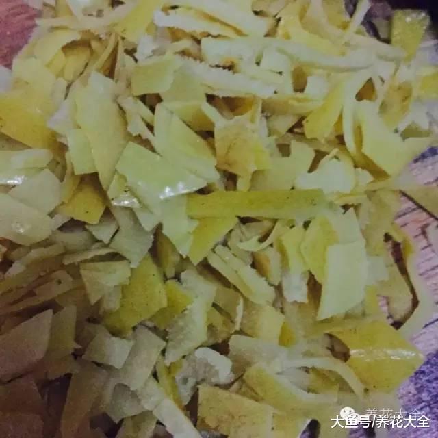 养花就用这种土, 不花钱, 还肥的流油, 养花蹭蹭长!