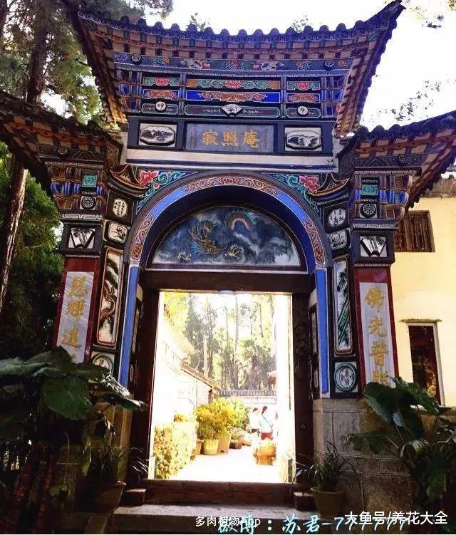 只种花不烧香的寺庙, 看完想出家!