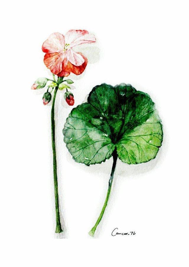 过目不忘的句子, 句句是哲理(深度好文)