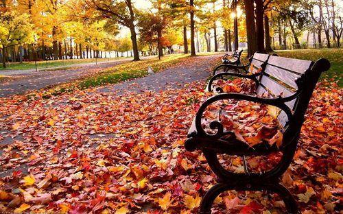 读这十句话, 别苦要自己!