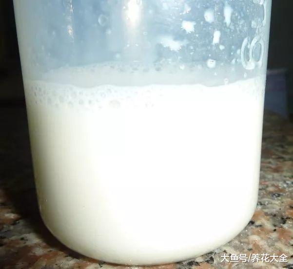 奶粉酸奶大豆油, 这些东西越过期, 养花越好使