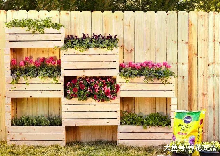 围栏上不种植物就太浪费了, 看花友在墙上种满各种花卉