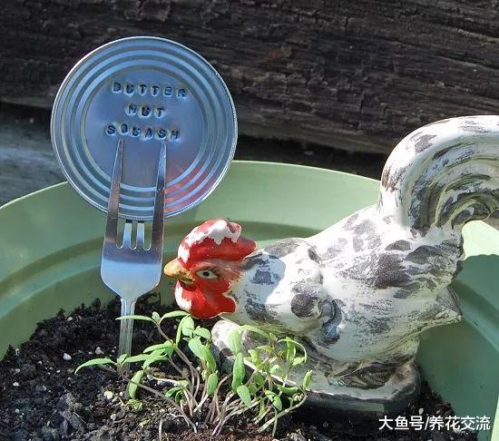 家里的旧物改造成植物标签, 捡来的木棍和石头都用上了