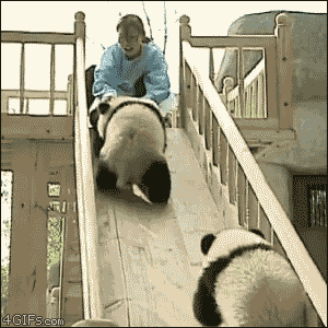 奇葩买家秀|再怎么满意, 也不能上图啊
