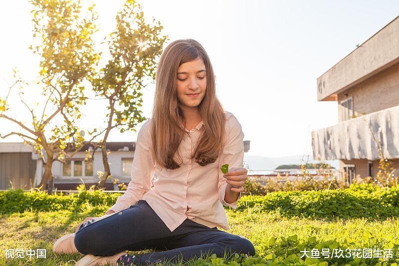 家居养花之装饰装点家居——红花酢(CU)浆草