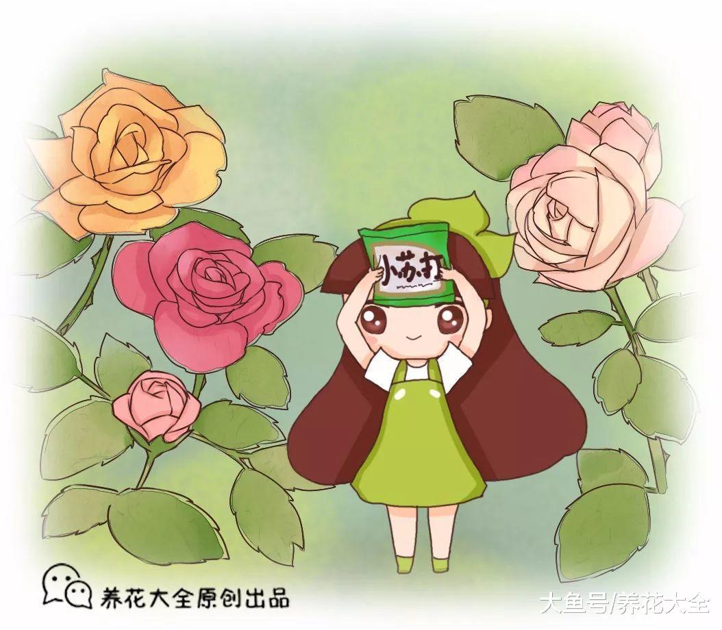 家家都有的东西, 拿来养花除虫促生根, 效果一点不差!