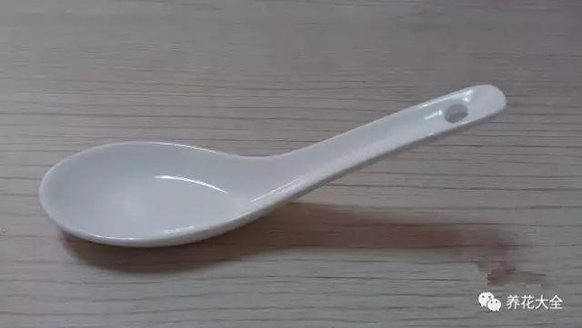 清理油烟机时候, 废油一定不能倒, 这可是养花的好肥料!