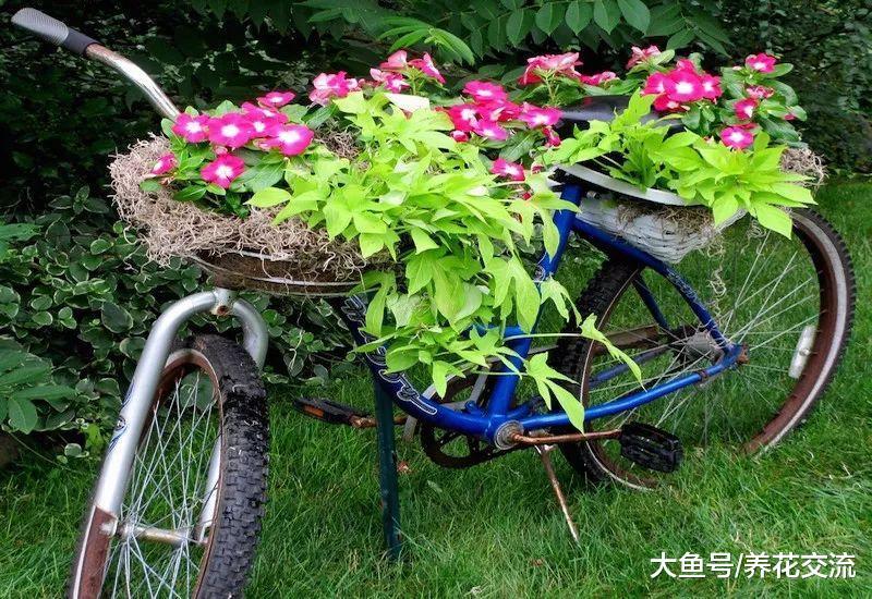 11个巧妙废物改造成小花坛的创意, 养花省钱又美观