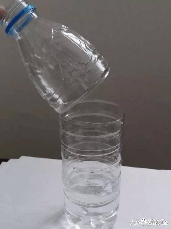 扦插用个塑料瓶就够了, 生根快, 成活率高!