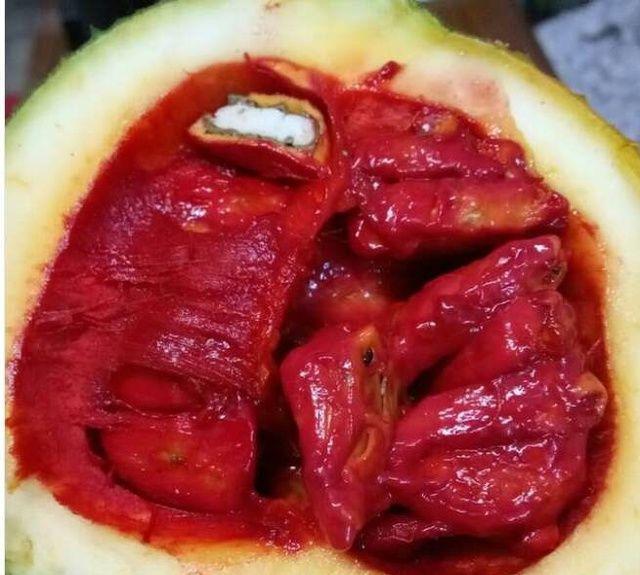 这种植物你见过吗? 农村孩子当球踢, 城里人却高价购买!