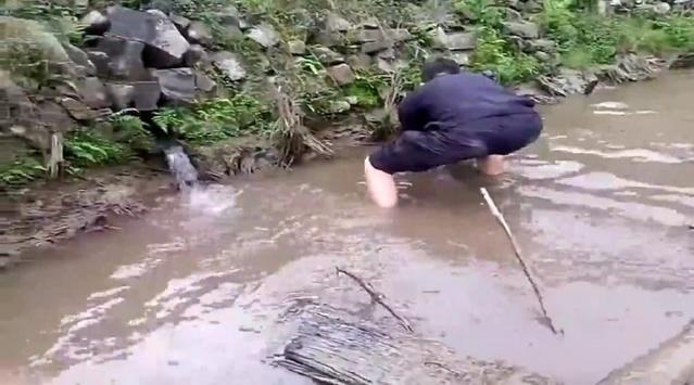 农村这样抓鱼不用钩, 轻松抓起一堆鱼, 看的人心里跃跃欲试