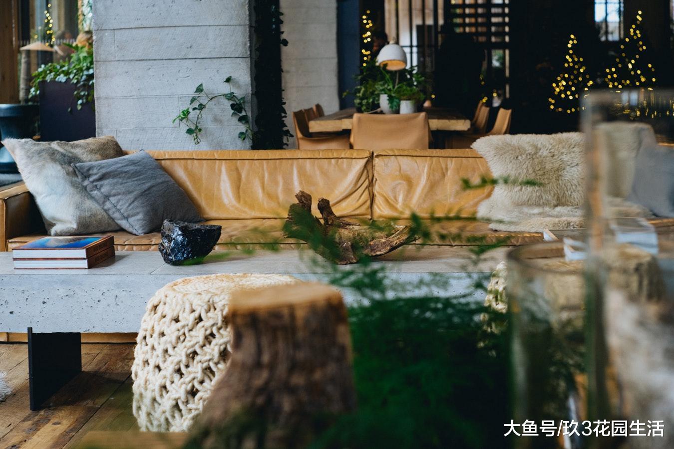 家居养花的好处多多, 总有办法“睡”服你