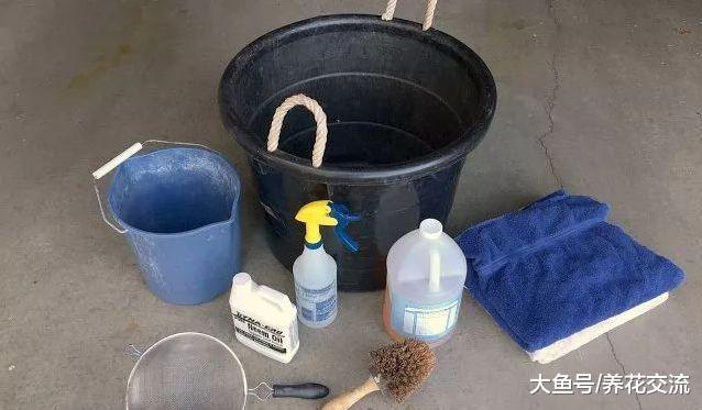 为什么植物移到室内就感染病虫害, 是不是养护方法有问题?