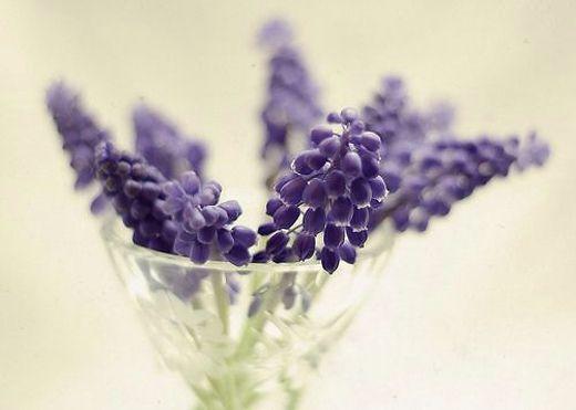 人越是坚强, 这十句话越没用