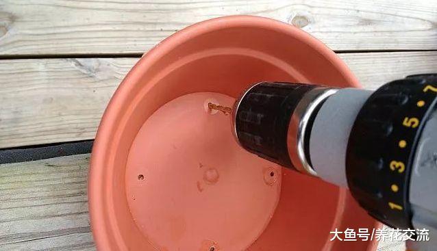 用普通的陶盆打造一个室内多肉植物小景观, 新手也能制作