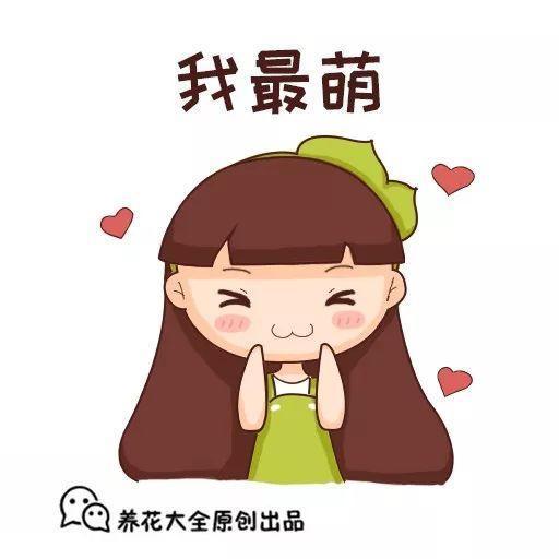 这种神奇草, 比吊兰好养, 能养死它的人应该还没出生