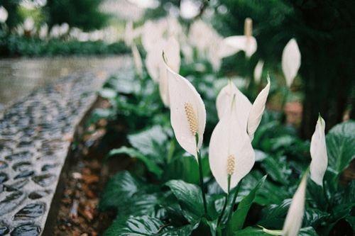 我收藏至今, 有且仅有的十句话!