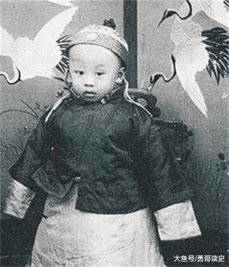 溥仪被特赦后，被安排到全国政协