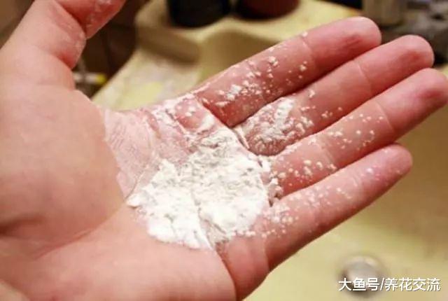 养花的时候撒上这种粉, 病虫都远离, 养花种菜都更方便了